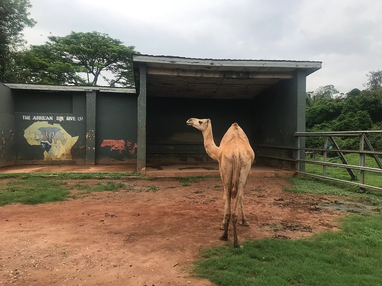Kumasi Zoo
