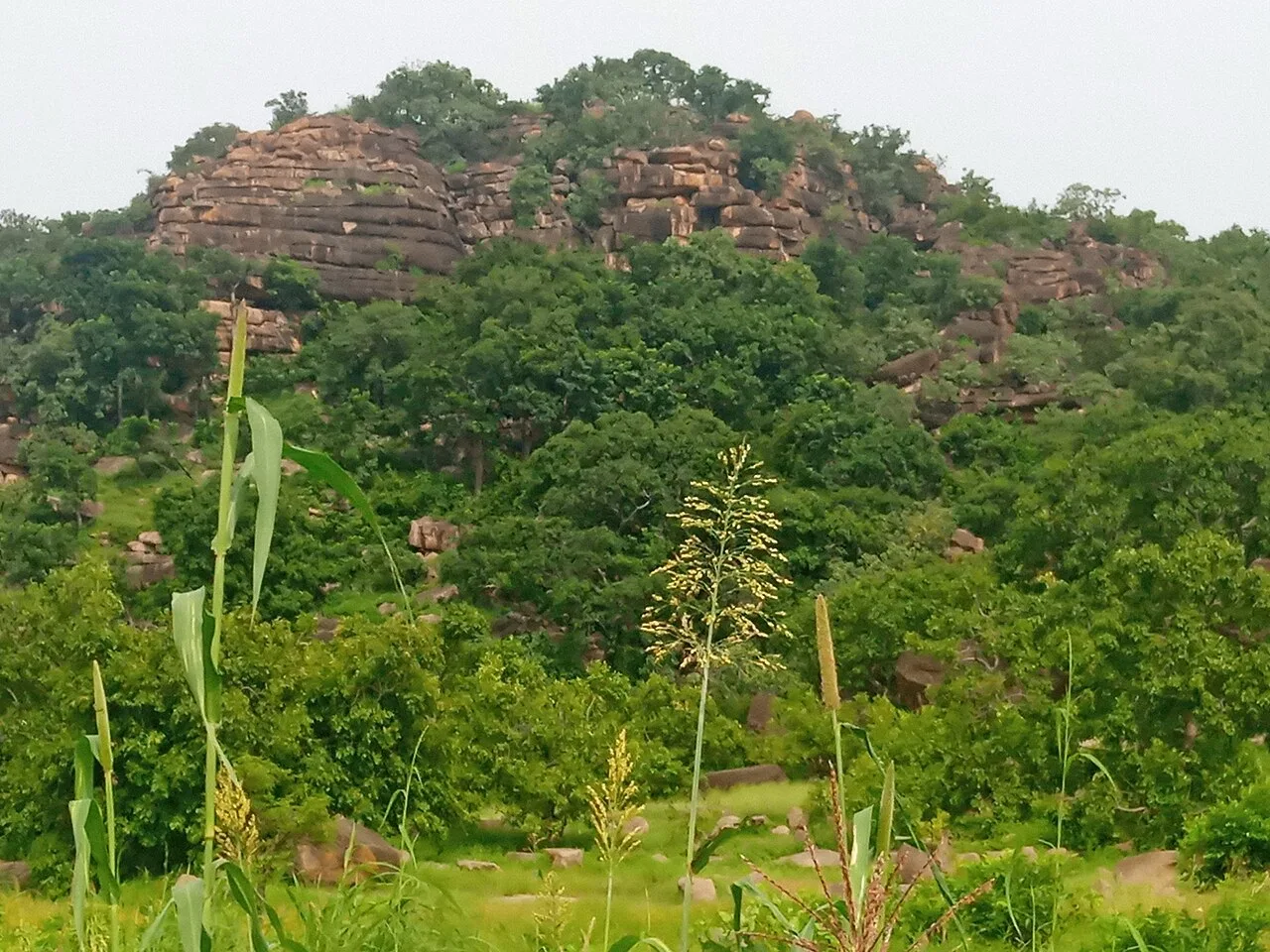 Tongo Hills and Tengzug Shrine