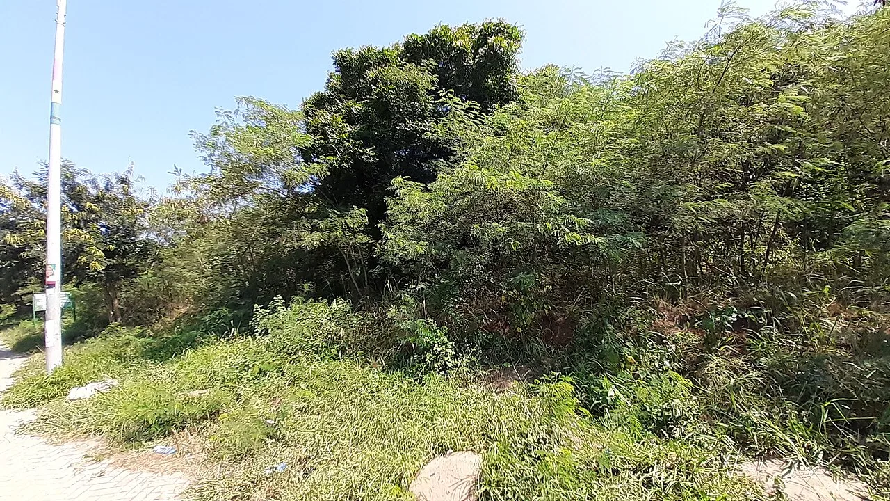 Achimota Forest Reserve