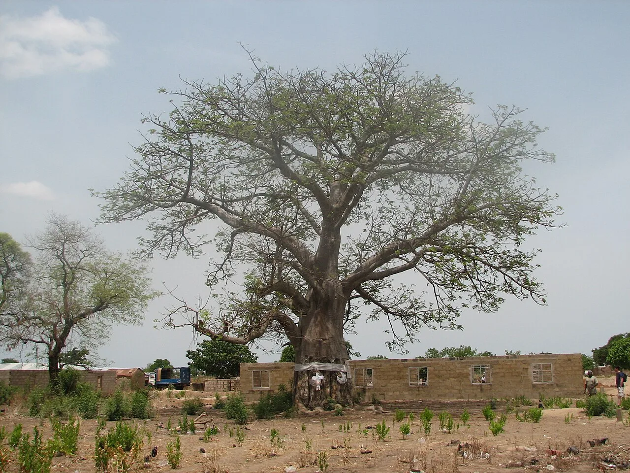 Salaga Slave Market